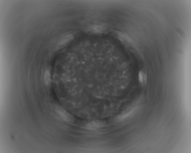 X0000113621203200910161945