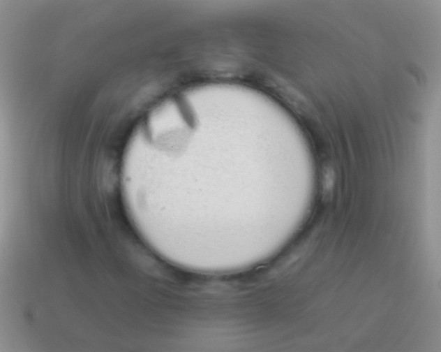 X0000113621204200910161945