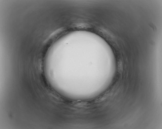 X0000113621205200910161945
