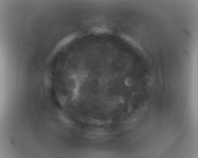 X0000113621207200910161945