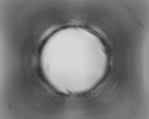 X0000113621208200910161945