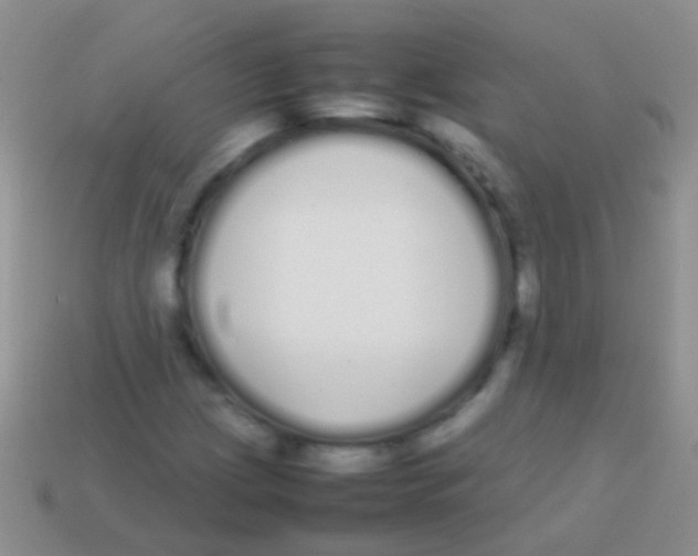 X0000113621209200910161945
