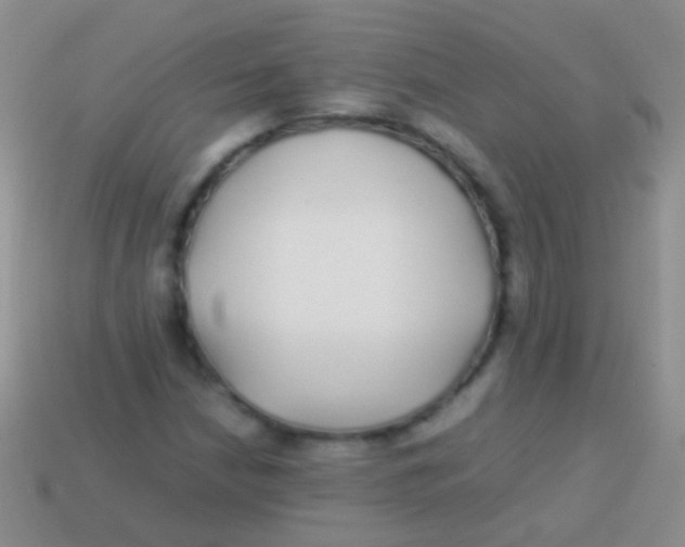 X0000113621210200910161945
