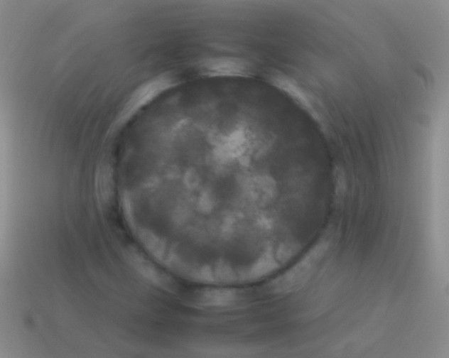 X0000113621211200910161945