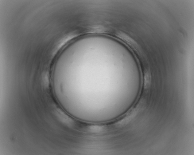 X0000113621212200910161945