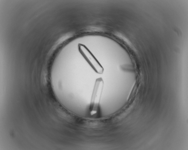 X0000113621213200910161945