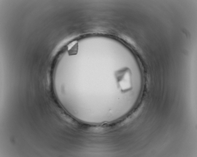 X0000113621214200910161945