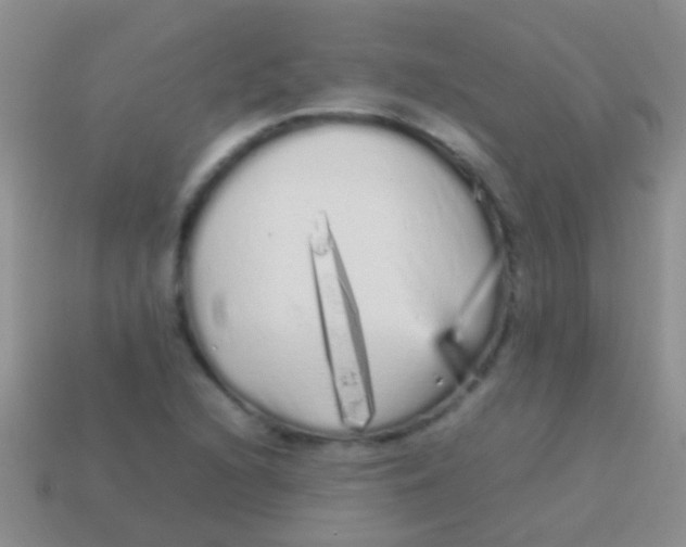 X0000113621216200910161945