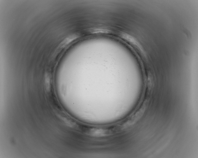 X0000113621217200910161945