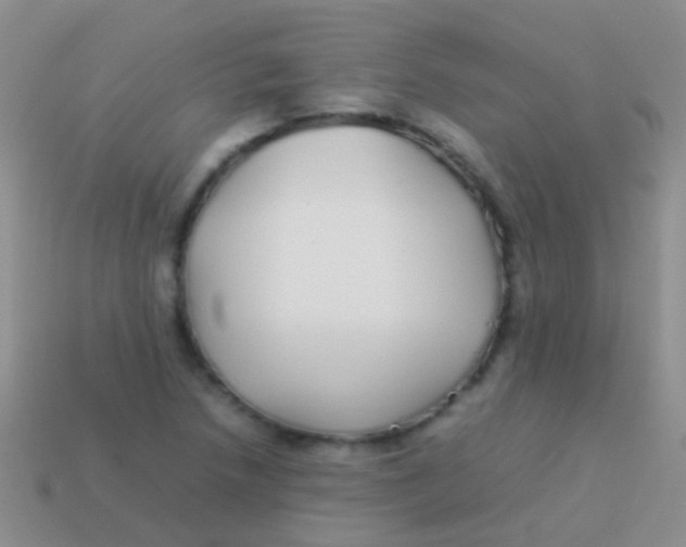 X0000113621218200910161945