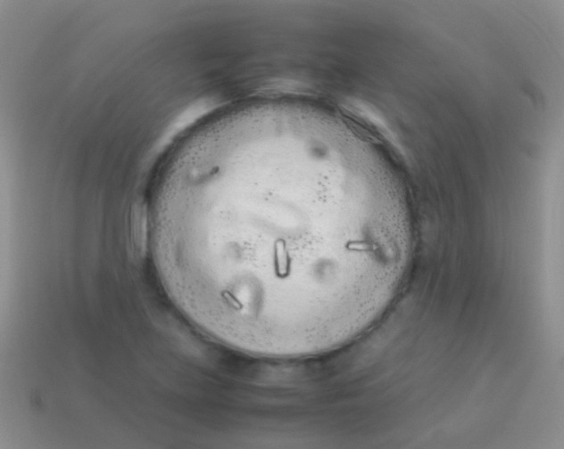 X0000113621219200910161945