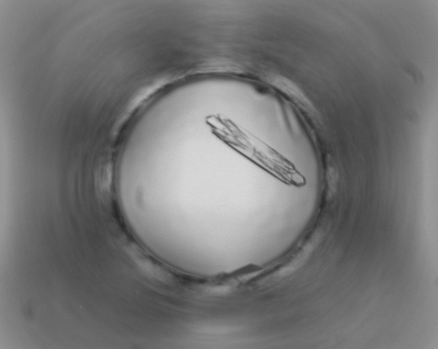 X0000113621220200910161945
