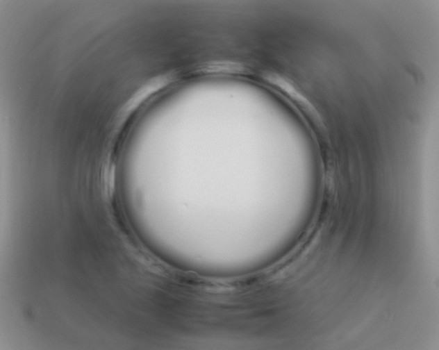 X0000113621221200910161945