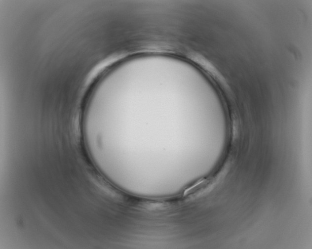 X0000113621222200910161945