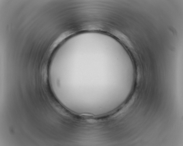 X0000113621226200910161945