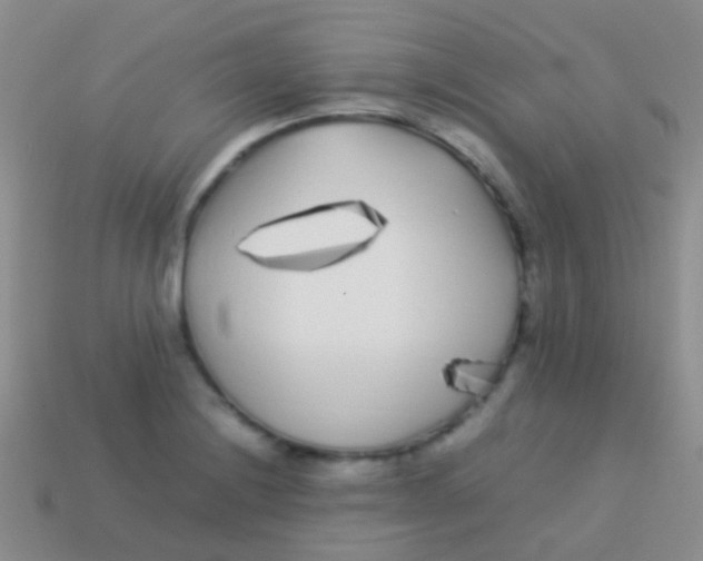 X0000113621228200910161945