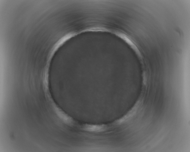 X0000113621229200910161945