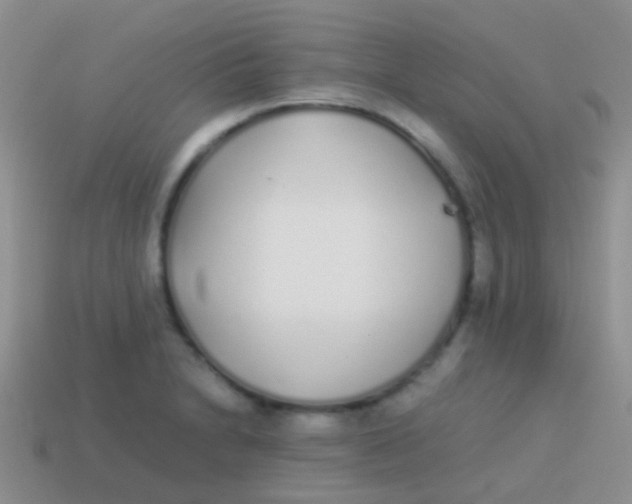 X0000113621230200910161945