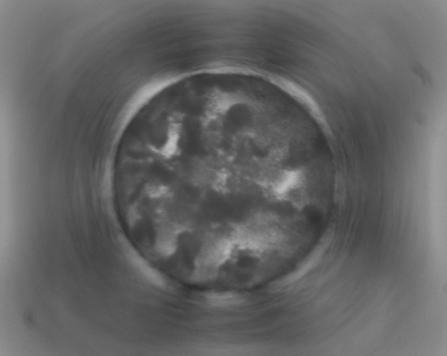 X0000113621231200910161945
