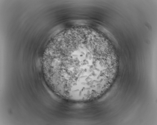 X0000113621233200910161945