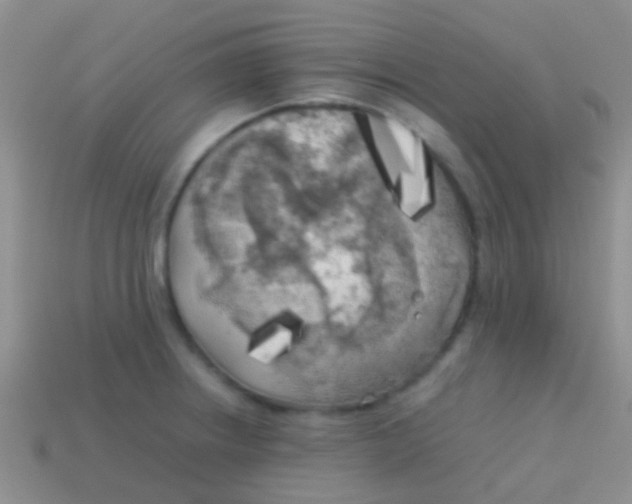 X0000113621234200910161945