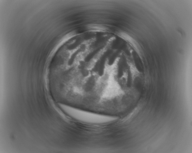 X0000113621235200910161945