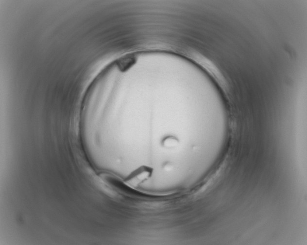 X0000113621236200910161945
