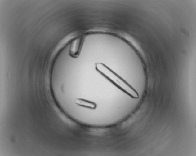 X0000113621237200910161945