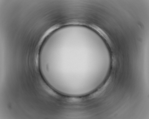 X0000113621238200910161945