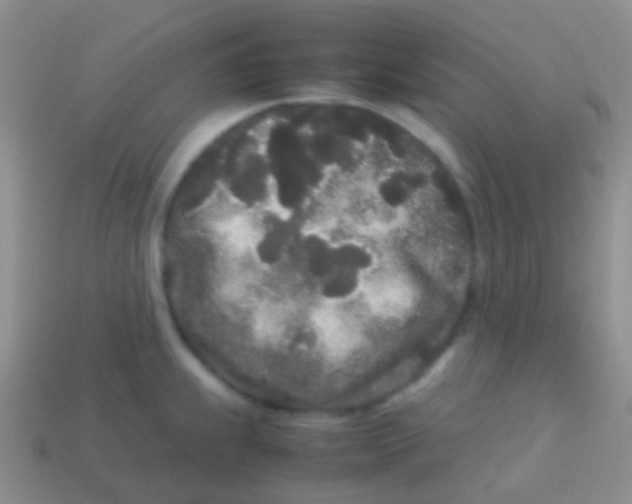 X0000113621239200910161945