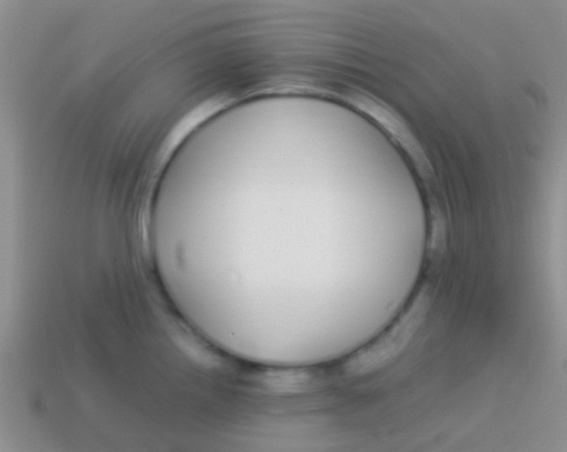 X0000113621242200910161945