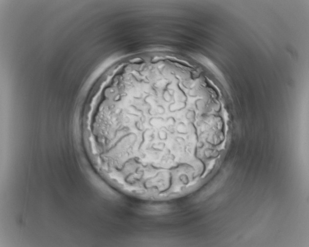X0000113621243200910161945
