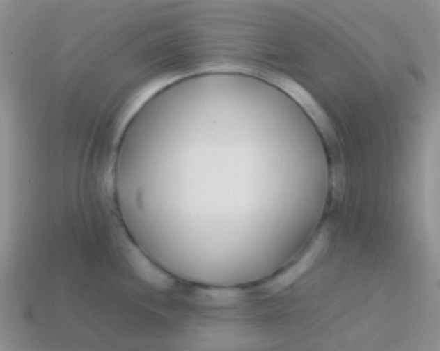 X0000113621244200910161945
