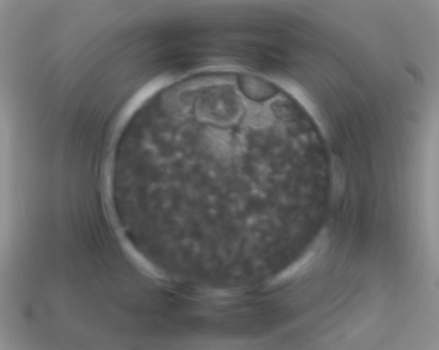 X0000113621245200910161945