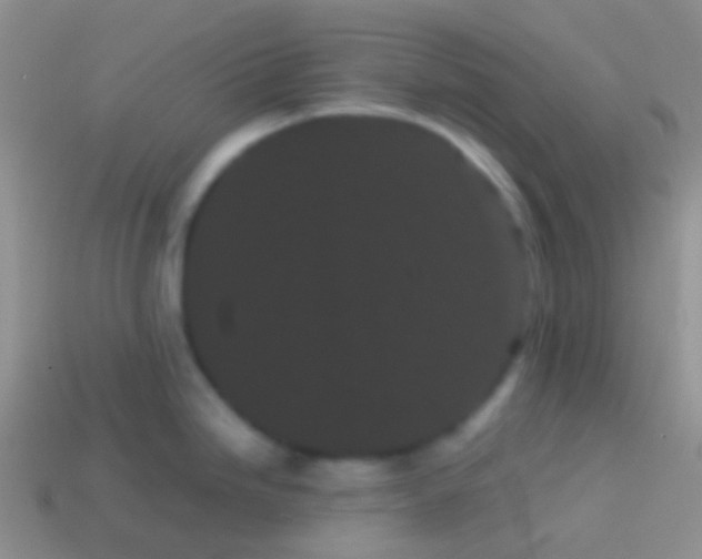 X0000113621246200910161945