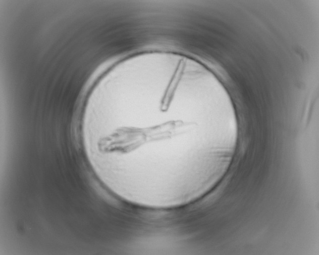 X0000113621248200910161945