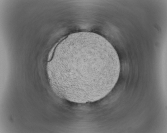 X0000113621249200910161945
