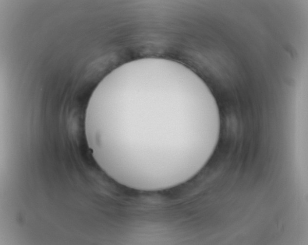 X0000113621250200910161945