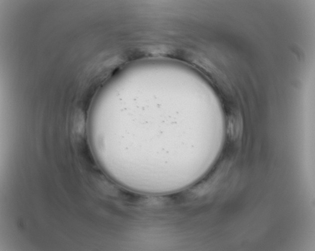 X0000113621251200910161945