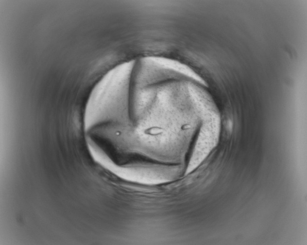 X0000113621252200910161945