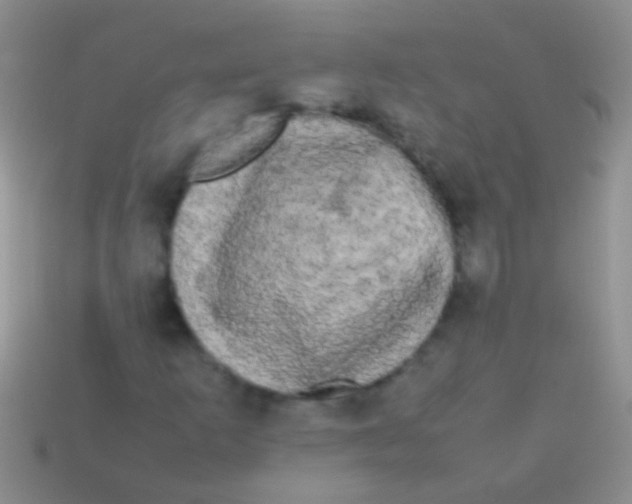 X0000113621253200910161945