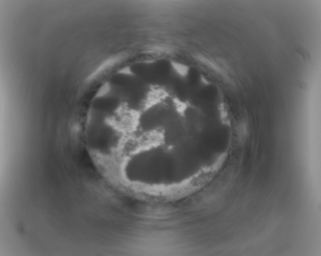X0000113621254200910161944