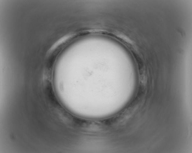 X0000113621255200910161944