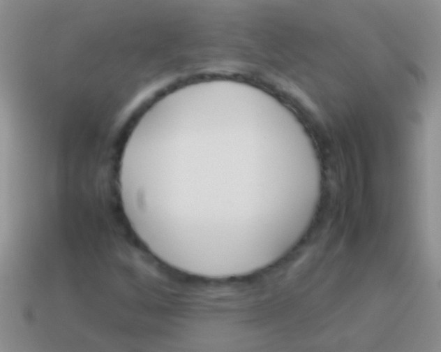X0000113621256200910161944