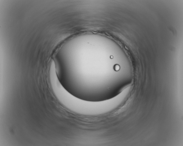 X0000113621257200910161944