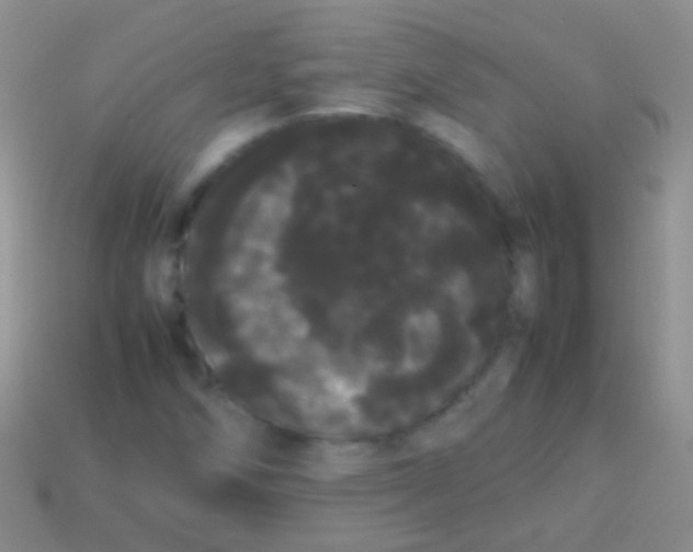 X0000113621258200910161944