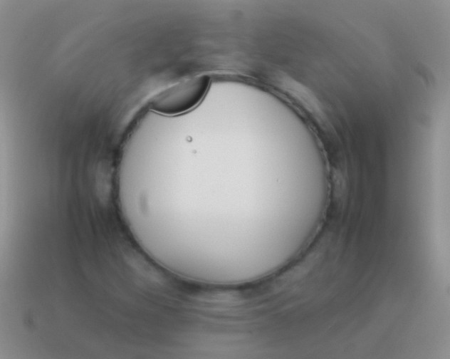 X0000113621260200910161944
