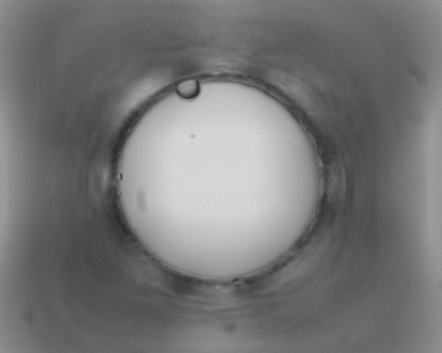 X0000113621261200910161944