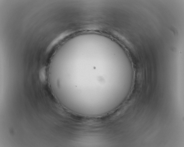 X0000113621262200910161944