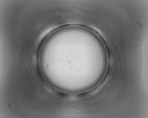 X0000113621263200910161944